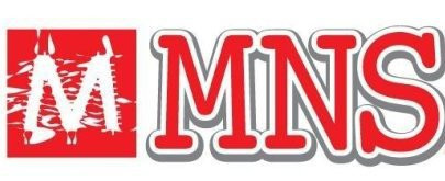 Mn s. Mns.